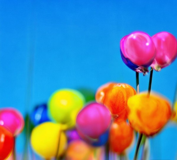 体验澳门美食，从酒店到餐桌上的一场对话